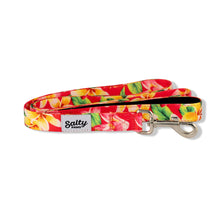 Load image into Gallery viewer, Salty Paws Tropical Leash Neoprene Lined Handle 6' Length