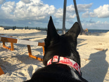 Load image into Gallery viewer, Red Aloha Print Eco Friendly Dog Collar