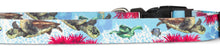 Load image into Gallery viewer, Salty Paws Turtle Dog Collar by D. Friel Made From Recycled Plastic Bottles