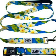Load image into Gallery viewer, salty paws tropical hawaiian dog collar and leash matching set blue plumeria print with white and yellow flowers for small medium large dogs
