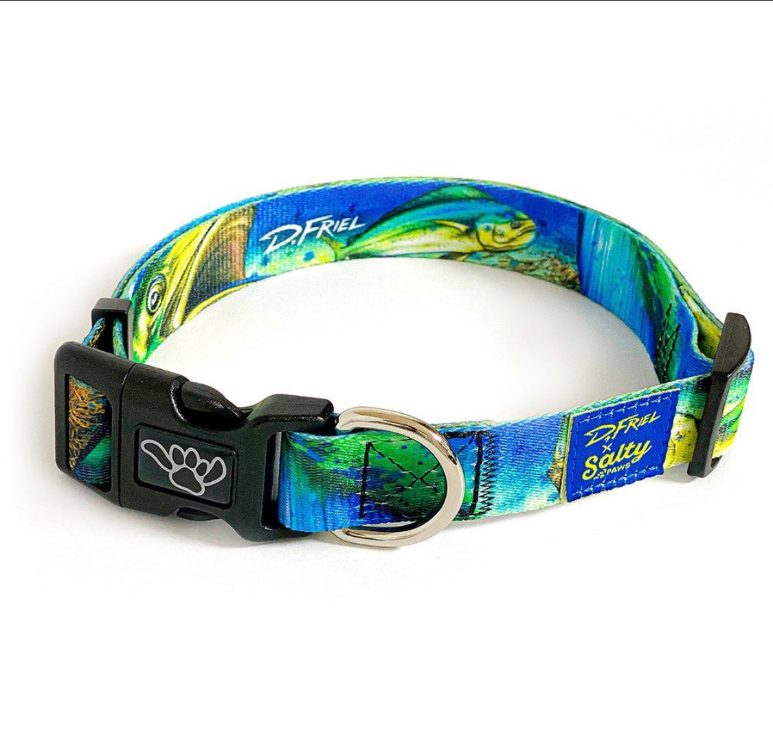 Mahi Mahi Fish Print Dog Collar D. Friel Connected By Water Collaborat