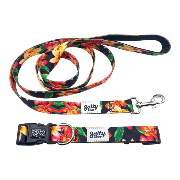 tropical hawaiian black floral dog collar and matching leash set with paw print buckle logo and salty paws woven label 