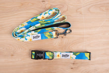 Load image into Gallery viewer, salty paws tropical hawaiian dog collar and leash matching set blue plumeria print with white and yellow flowers for small medium large dogs
