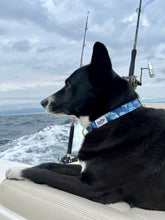 Load image into Gallery viewer, salty paws blue wave dog collar large black dog on boat with fishing poles