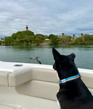 Load image into Gallery viewer, large black dog on boat with jupiter lighthouse and pelican background salty paws surf stripe dog collar blue orange black dog collar made from repreve recycled plastic bottle fabric