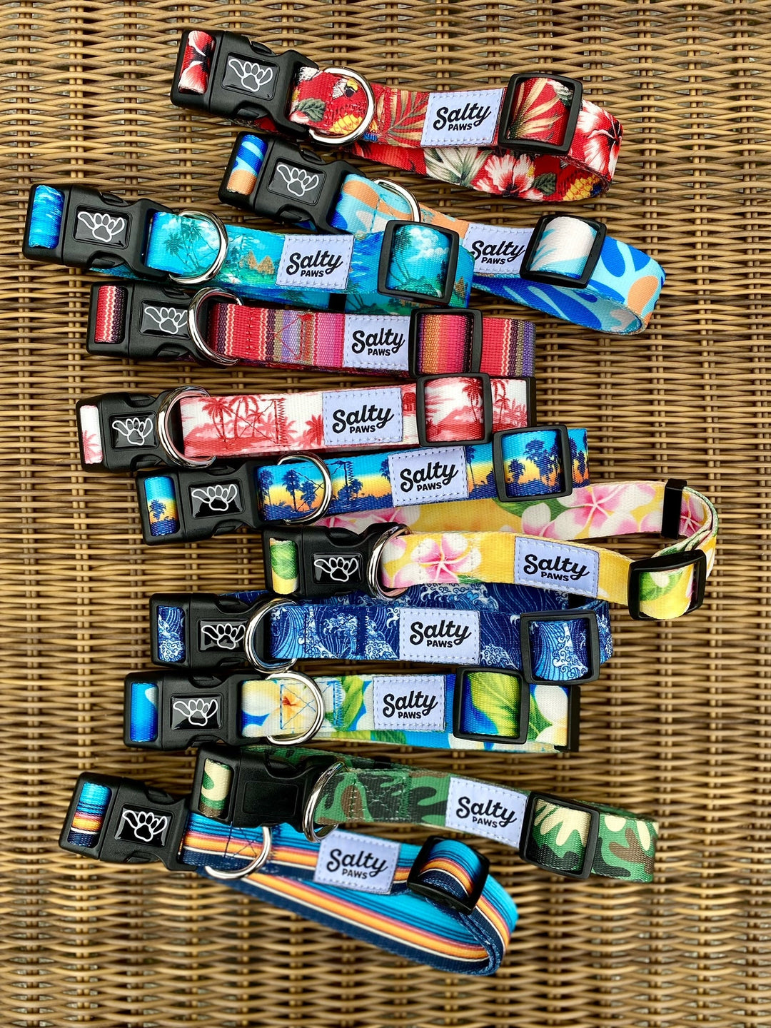 Tropical Salty Paws dog collar in the sand