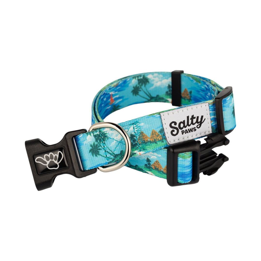 Salty Paws Tahitian Blue cool dog collar — tropical Hawaiian shirt print, REPREVE recycled