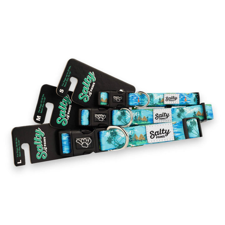 Salty Paws Tahitian Ocean Blue dog collar — unique tropical coastal boy dog collar