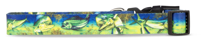 Fishing dog collar Mahi-Mahi by D. Friel and Salty Paws — artist series for boat dogs