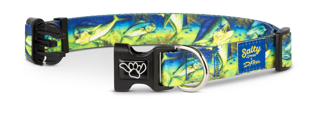 Boat dog wearing Salty Paws Mahi-Mahi collar — D. Friel fishing artist series