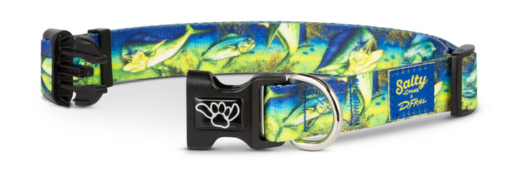 Boat dog wearing Salty Paws Mahi-Mahi collar — D. Friel fishing artist series