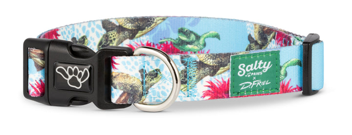 Boat dog wearing Salty Paws Sea Turtle collar — D. Friel surf fishing artist series