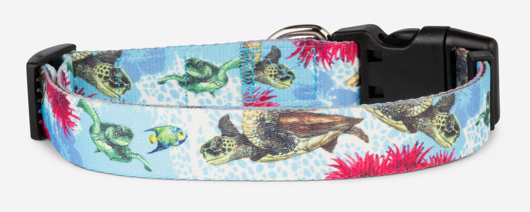 Salty Paws Sea Turtles dog collar — D. Friel Connected By Water fishing series