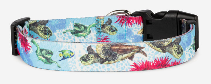 Salty Paws Sea Turtles dog collar — D. Friel Connected By Water fishing series