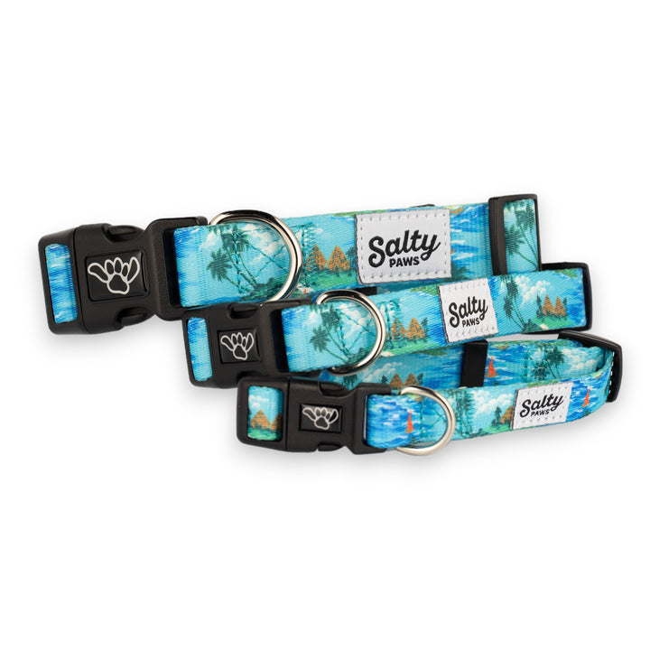 Salty Paws Tahitian Blue tropical dog collars — three sizes, shaka paw beach lifestyle