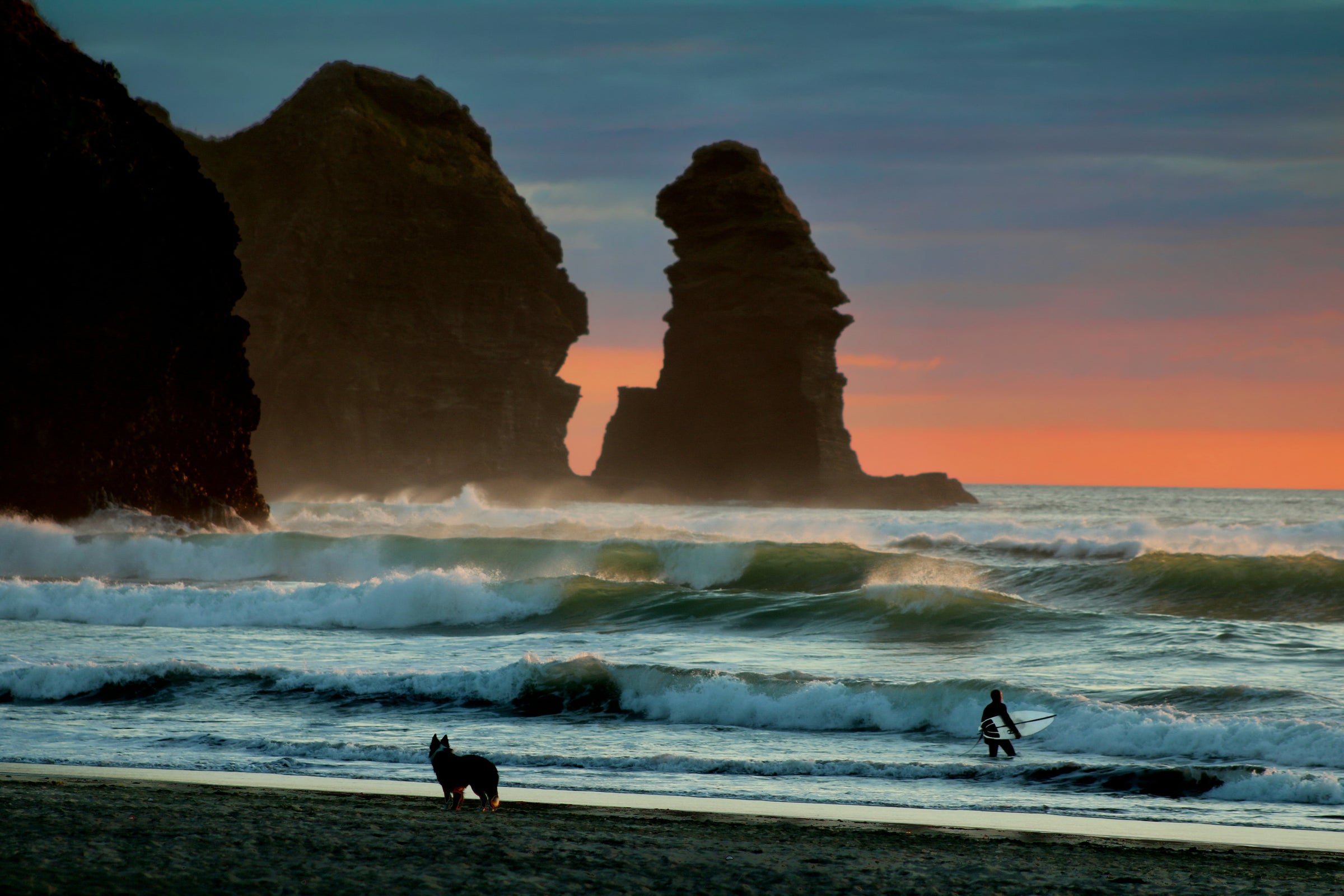 Black dog on beach watching surfer return from ocean at sunset — Salty Paws Ocean & Wave collection inspiration