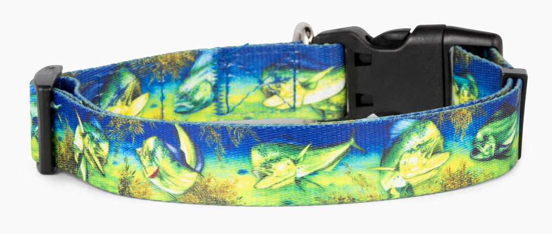 Salty Paws Mahi-Mahi fishing dog collar — D. Friel Connected By Water collection