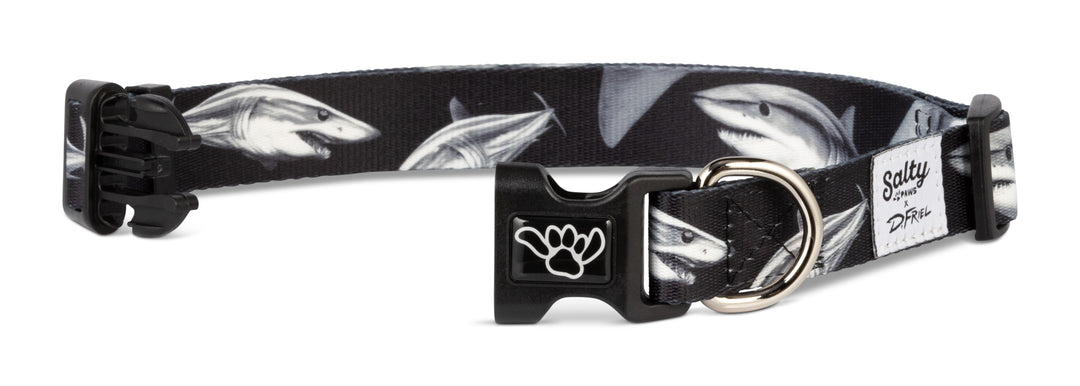 Salty Paws Mako Shark dog collar — D. Friel Connected By Water fishing collection