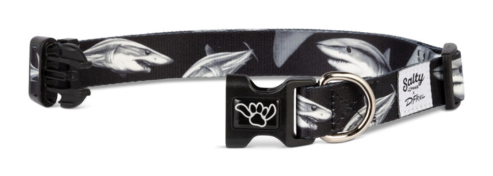 Salty Paws Mako Shark dog collar — D. Friel Connected By Water fishing collection