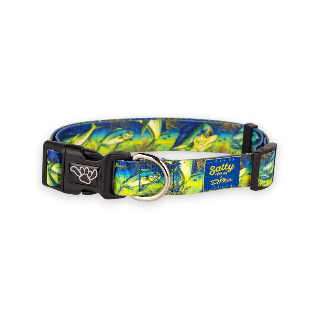 Salty Paws Mahi-Mahi dog collar — D. Friel green blue artist series, fits all dog breeds