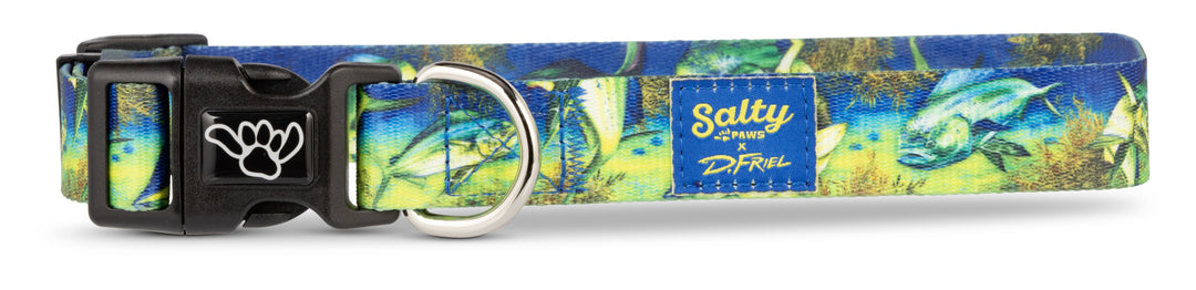 Salty Paws Mahi-Mahi waterproof dog collar — D. Friel artist series for fishing dogs