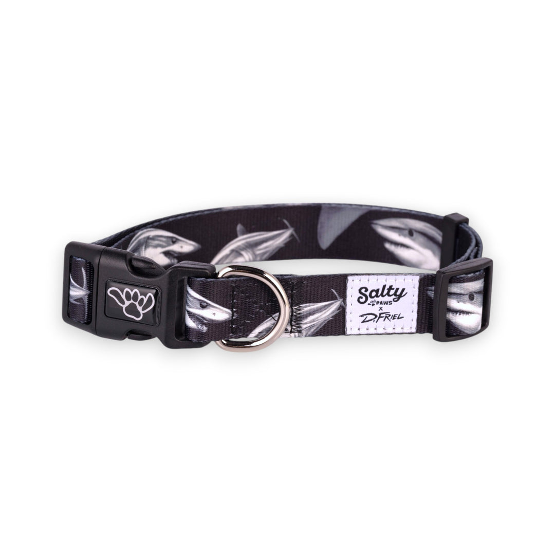 Salty Paws Mako Shark fishing dog collar — D. Friel black grey, boat dog style