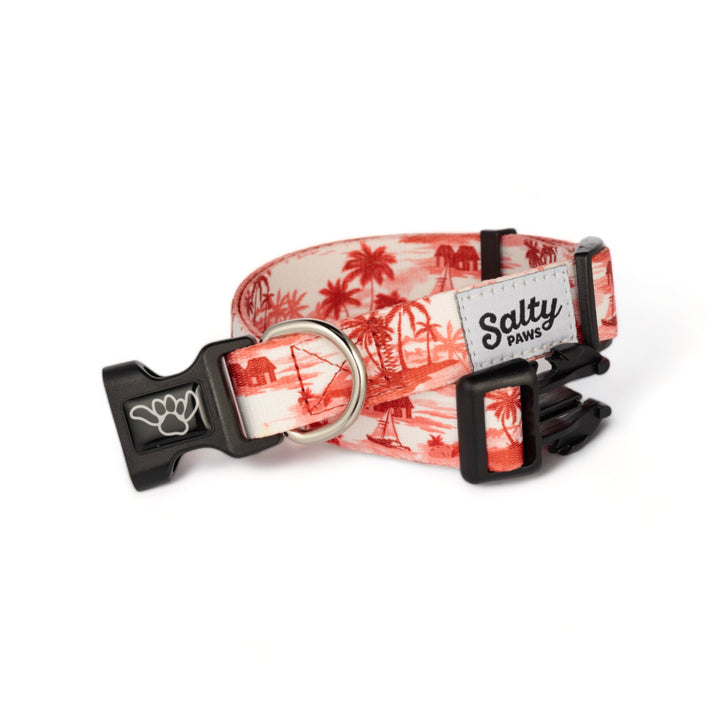 Red Hawaiian tropical Salty Paws dog collar — aloha print for boy dogs