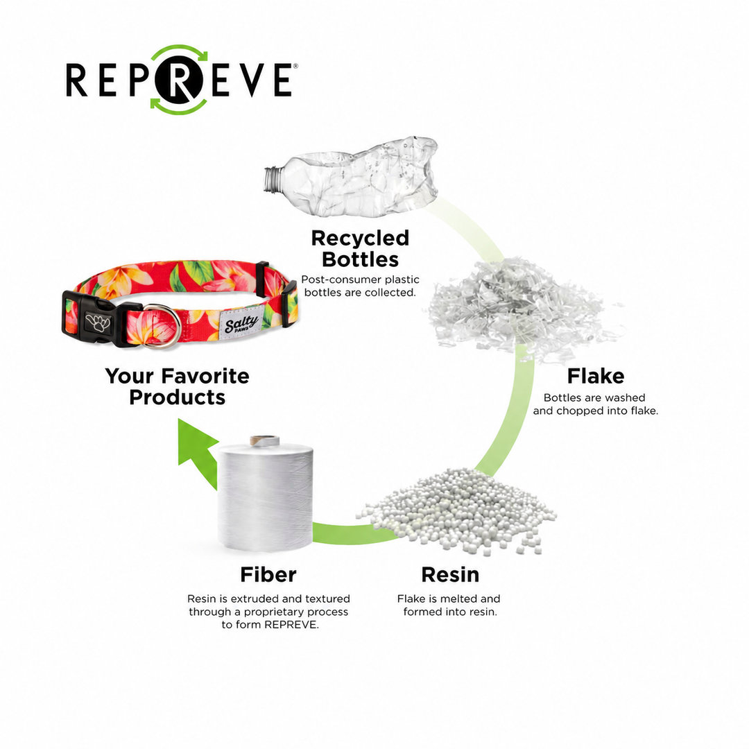 REPREVE process — recycled ocean plastic bottles become the Salty Paws Baja Aztec collar