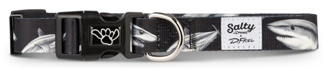 Mako Shark Salty Paws dog collar — D. Friel nautical fishing artist series
