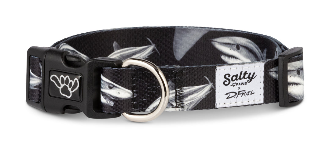Salty Paws Mako Shark dog collar — D. Friel artist series, fishing boat dogs