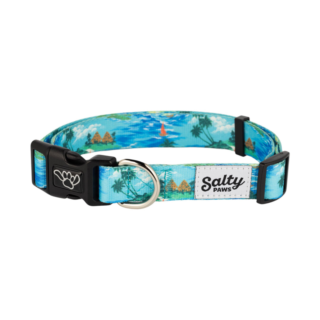 Salty Paws Tahitian Blue dog collar — cool boat beach boy dog tropical print