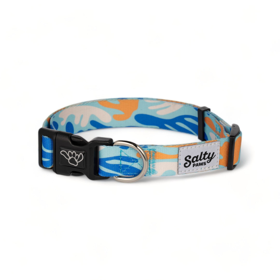 Salty Paws Coral Camo dog collar — unique tropical blue coral camo print boy dog collar
