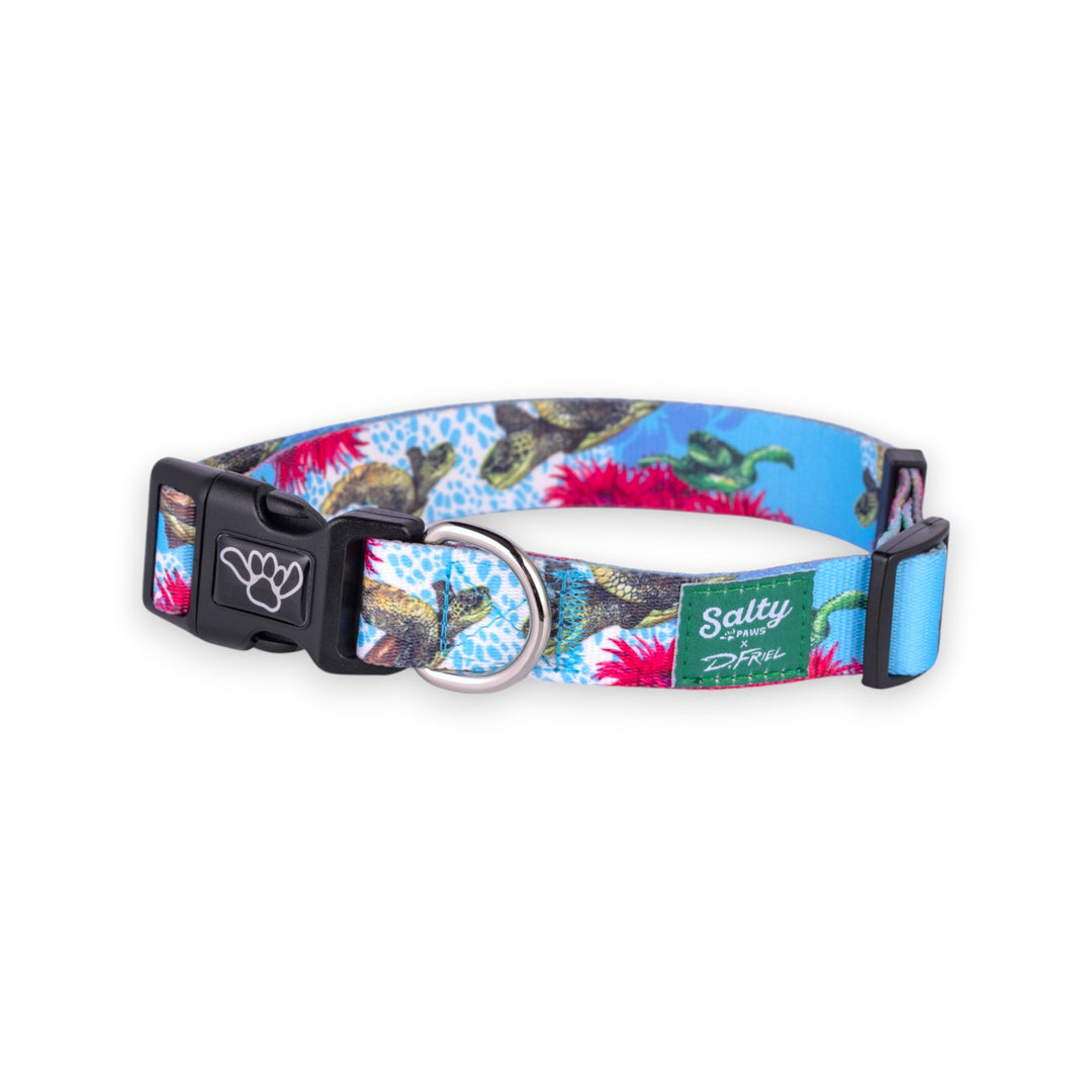 Salty Paws Sea Turtle dog collar — D. Friel artist series, made from recycled plastic