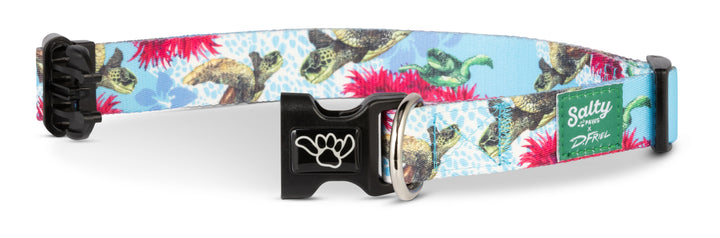Sea Turtle Salty Paws dog collar — D. Friel waterproof nautical artist print