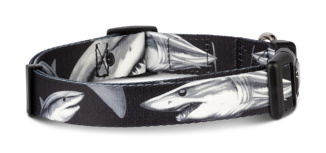 Mako Shark D. Friel dog collar — Salty Paws fishing artist series for boy dogs