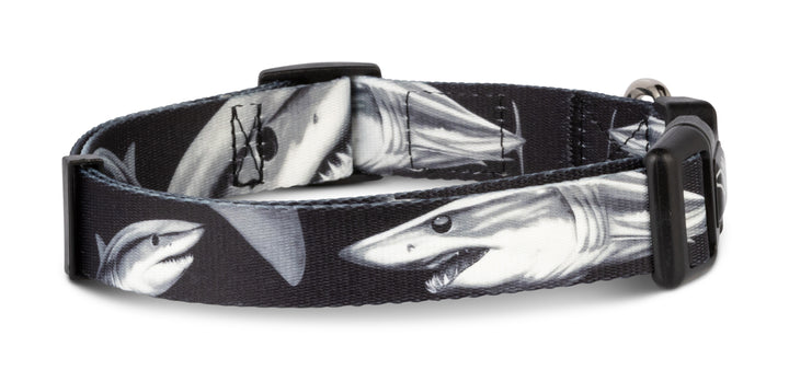 Mako Shark D. Friel dog collar — Salty Paws fishing artist series for boy dogs