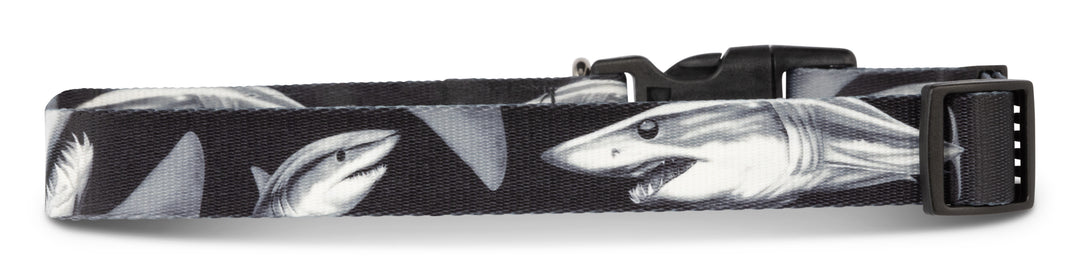 Salty Paws premium Mako Shark dog collar — D. Friel fishing artist collaboration