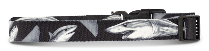 Salty Paws premium Mako Shark dog collar — D. Friel fishing artist collaboration