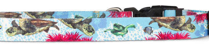 Sea Turtles Salty Paws dog collar — D. Friel artist series, gift for fishing dogs