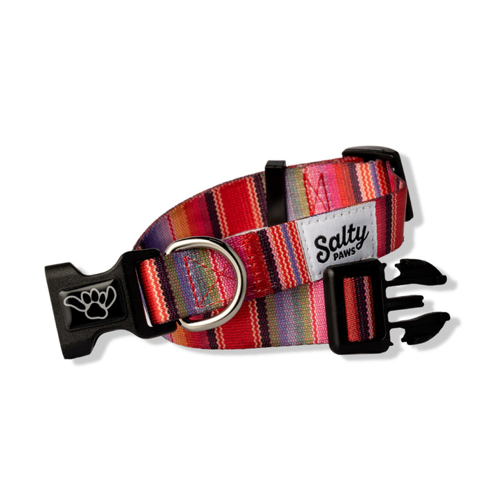 Pink Baja Aztec dog collar — boho serape pattern, cute girl dog collar by Salty Paws