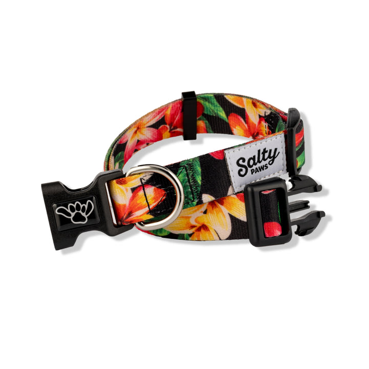 Black Floral Hawaiian dog collar on white — Salty Paws bold boy dog tropical print
