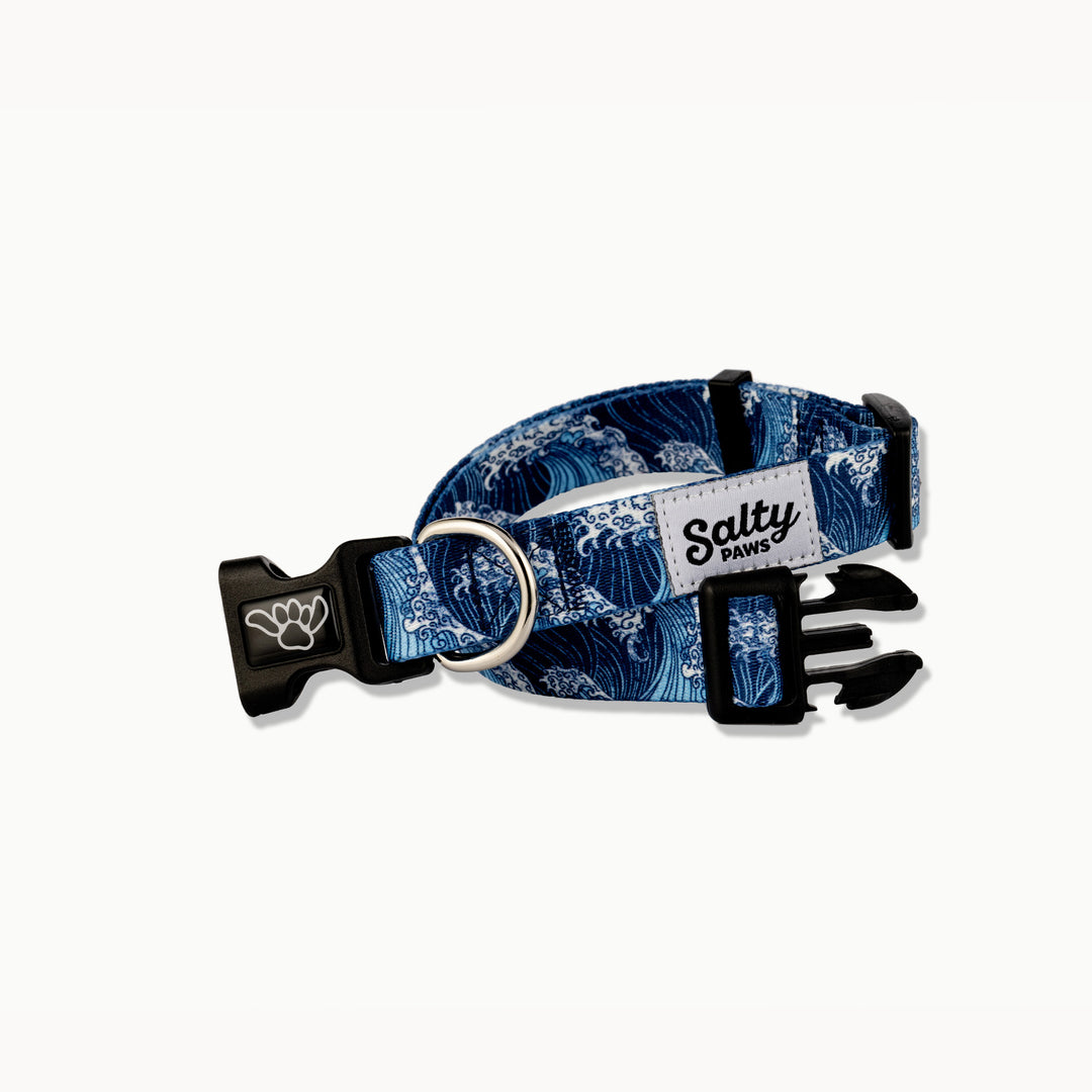 Salty Paws Blue Wave Kanagawa surf art dog collar — unique boy dog coastal collar