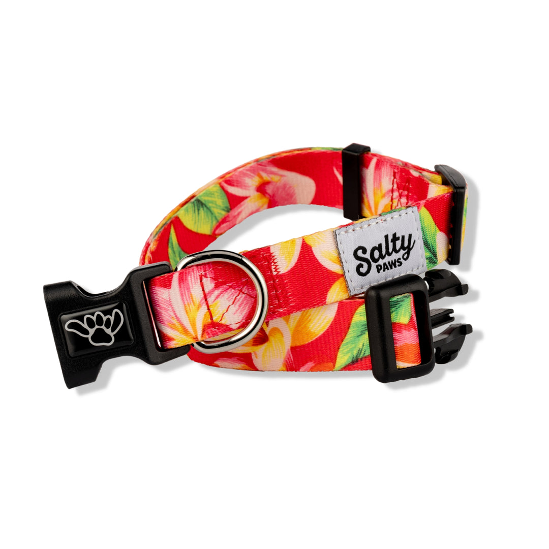 Pink Hawaiian tropical Salty Paws dog collar — cute girl dog floral collar