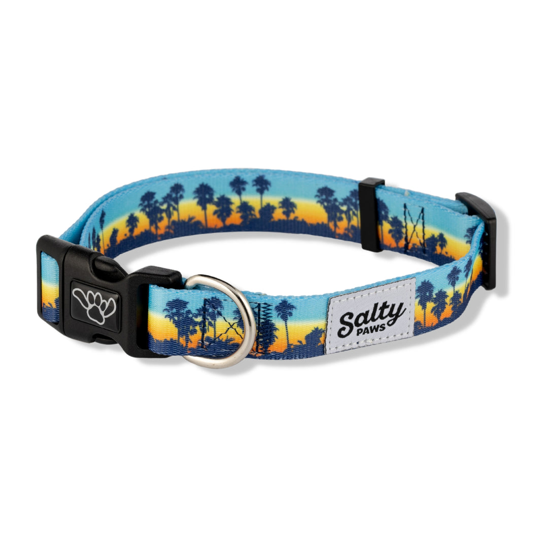 Salty Paws California Sunset dog collar — palm tree print, unique boy dog collar