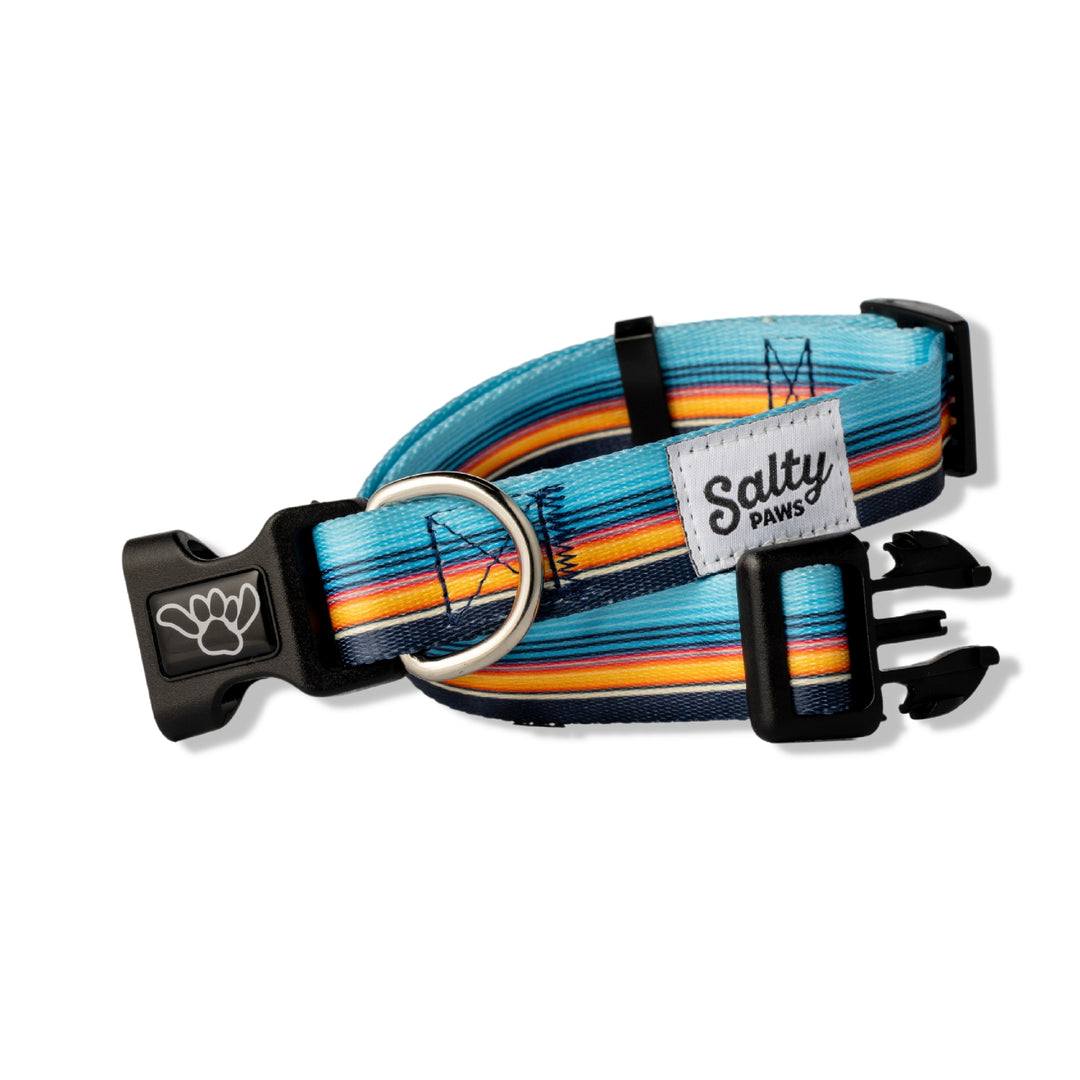 Sunset Stripe orange blue Salty Paws dog collar — bold surf style for boy dogs
