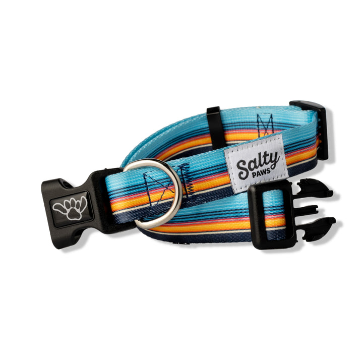 Sunset Stripe orange blue Salty Paws dog collar — bold surf style for boy dogs