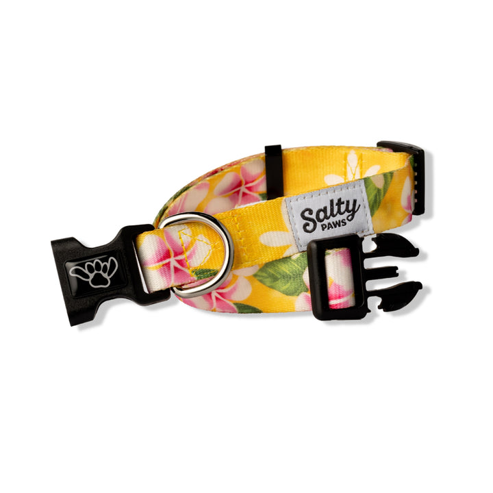 Yellow Floral tropical Salty Paws dog collar — Hawaiian print, cute girl dog collar