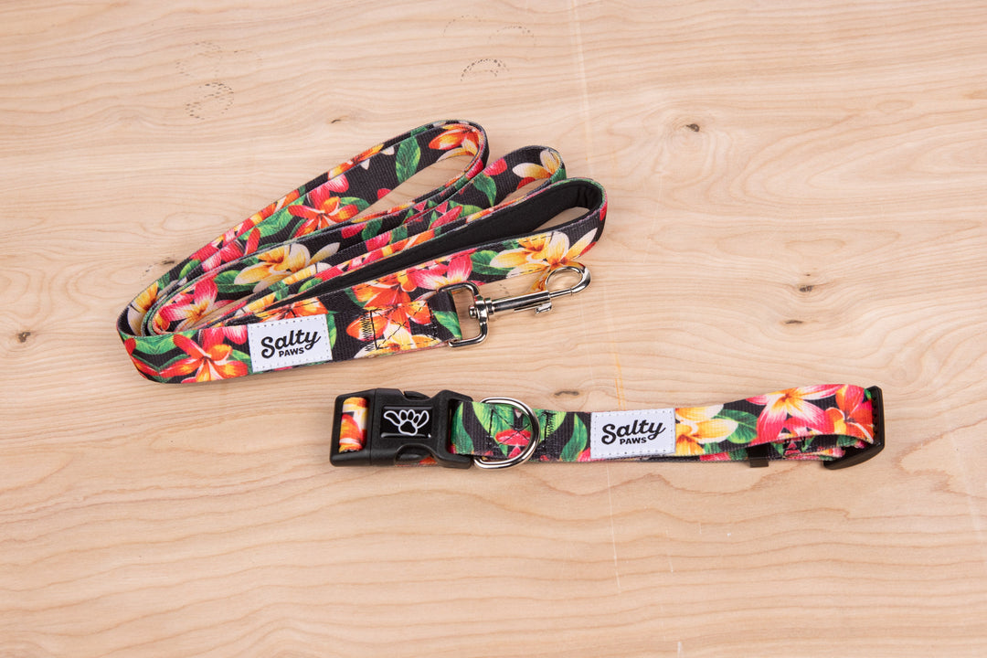 Black Floral Salty Paws collar and leash — bold tropical matching set for boy dogs