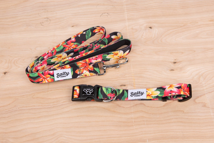 Black Floral Salty Paws collar and leash — bold tropical matching set for boy dogs