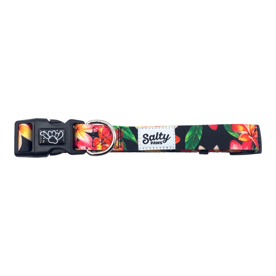 Black Floral matching dog collar and leash — Salty Paws bold tropical boy dog set